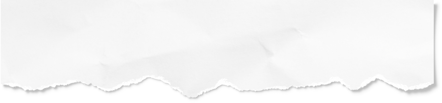 Torn White Strip of Paper